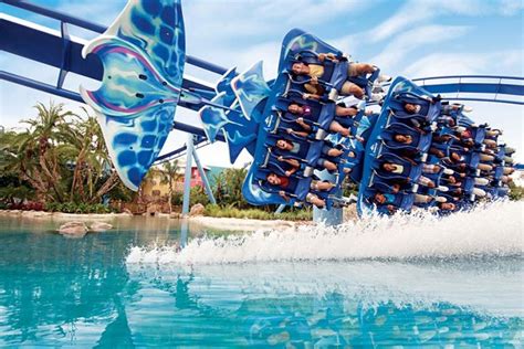 Discover the Magic Beneath the Waves at SeaWorld